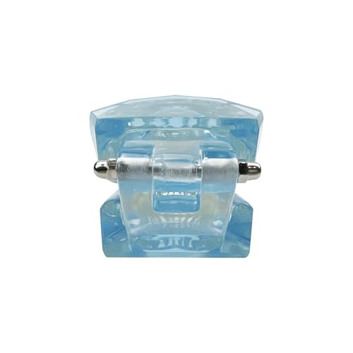 SENLIN DENTAL 1PC Transparent Normal Dental Model, Teeth Dental Teaching Model, Mouth Model for Dentistry Education and Training Demonstrations (Blue)