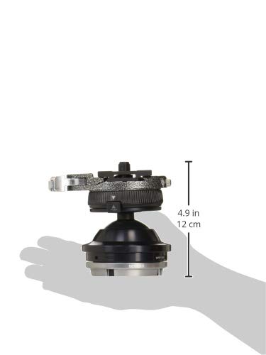 Amazon | GITZO 雲台 システマティック 5型QD GH5381SQD | 雲台  