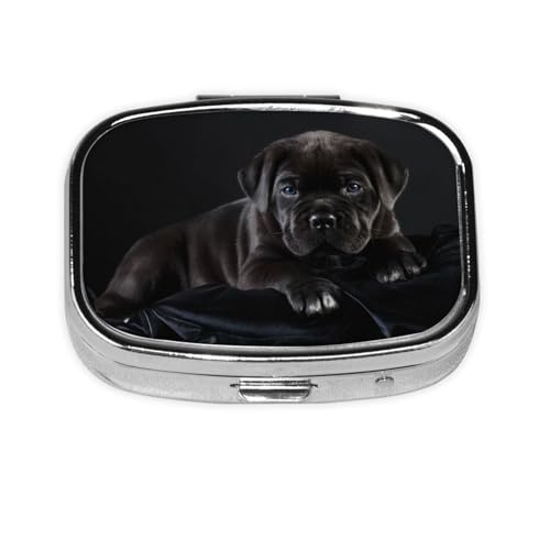 ピルケース 携帯用 薬ケース おしゃれ かわいい ピルケース カネ コルソ 黒子犬 ペット 小型 ピルケース 長方形 薬入れ 薬箱 老人 子供 小物入れ 旅行に便利コンパクト 持ち運び