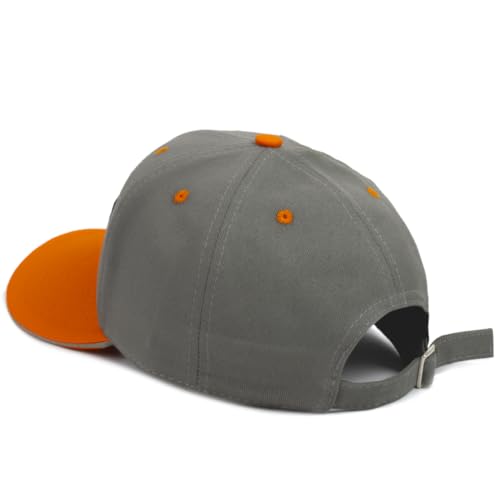 Boné Harley Davidson Fitão Snapback Aba Curva Premium (Cinza)