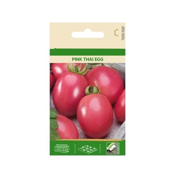 VibeX Tomatoes Pink Thai Egg Seeds -250 Seeds