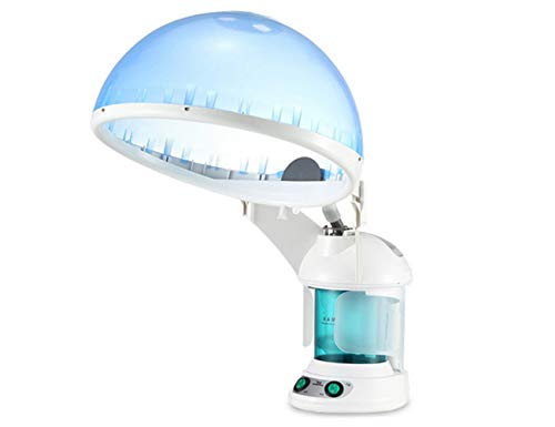 Hair Care 2 In 1 Ionic Ozone Facial And Hair Steamer Home Use Beauty Instrument Elitzia ETKD2328a