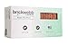 Single Thin Bricks - Flats for Brickwebb (Box of 50) - Dixie Clay