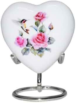 31jNUyWOueL._AC_UF350, 31jNUyWOueL._AC_UF350,