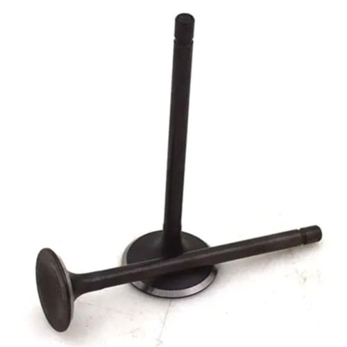 Kit de válvula de admisión y escape compatible con CRF230F CRF150F y SL230
