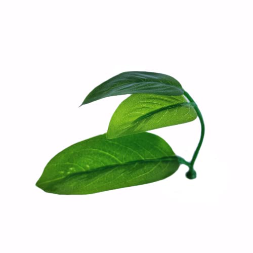 DOIDO Betta Bed Leaf Hammock,Silk Betta Fish Leaf Hammocks Pad Lounger Toys Lightweight and Realistic Fish Hideout Plastic Aquarium Plants Accessories for Fish Tank Decorations (1pcs),Green