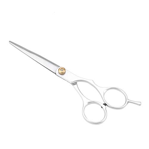 V BESTLIFE Hair Cutting Scissor, 6.1 inch Stainless Steel Professional Hair Shears