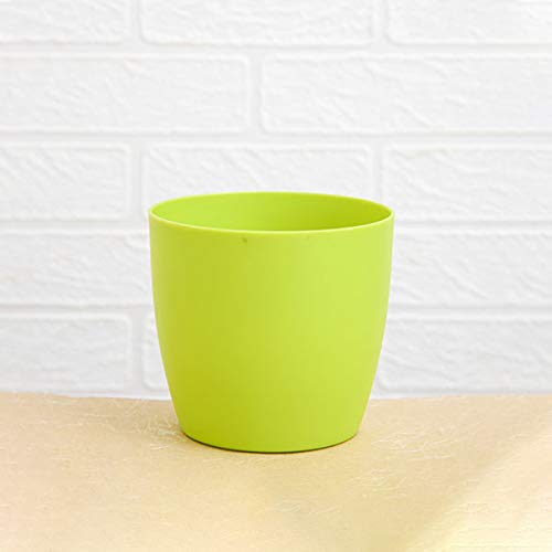 See full amazon price history chart for Homecro Planter| Flower Desk Pot for Plants for Home Office Indoor Outdoor Gardens | Pots for Plants | Flower Pot Plastic | Planter | Round Plastic Pots |5 inch (13 cm) Green Homecro Planter| Flower Desk Pot for Plants for Home Office Indoor Outdoor Gardens | Pots for Plants | Flower Pot Plastic | Planter | Round Plastic Pots |5 inch (13 cm) Green (B08BPHLK88) Amazon Price History, Amazon Price Tracker