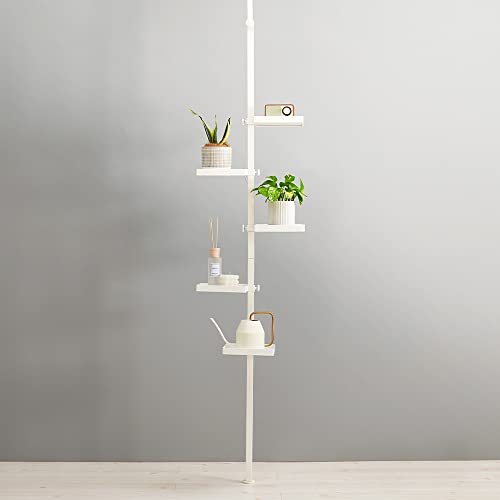 ˂胉bN gC5 DISH fBbV X`[ ςI [ bN (p^gC, zCg×zCg)