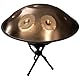 Shelter HP55-GD - HandPan in D-Moll, Handgefertigte, Goldfinish, Tasche+Stativ+Schlägel inklusive