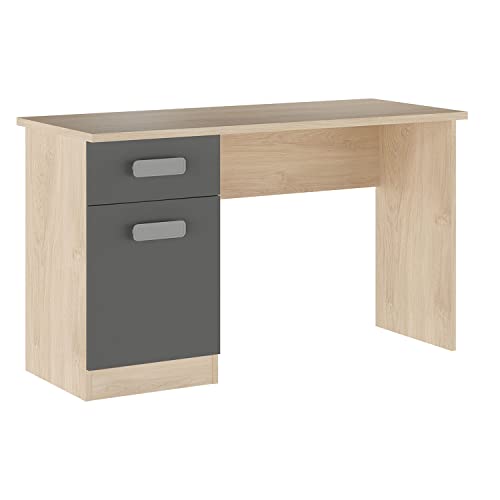 Shiito | Modelo Chelsea - Mesa de Estudio con 2 Cajones | Natural Grafito - 70.8 x 120 x 49.8 cm | Escritorio Sencillo y Moderno