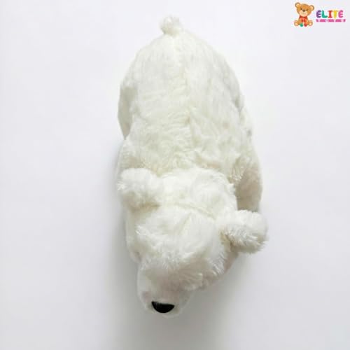 Image of ELITE CREATIONS Polar Bear Soft Toy 30 cm | Cute White Bear Plush Stuffed Animal | Soft Cuddly Teddy Toy for Kids Boys Girls | Birthday Gift Baby Toy Room Decor