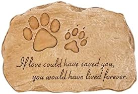 Evergreen Pet Paw Print If Love Could Have Saved You Garden Memorial Stone | Outdoor Safe | 12-Inch | Rainbow Bridge | Rememberance for Lost Love One