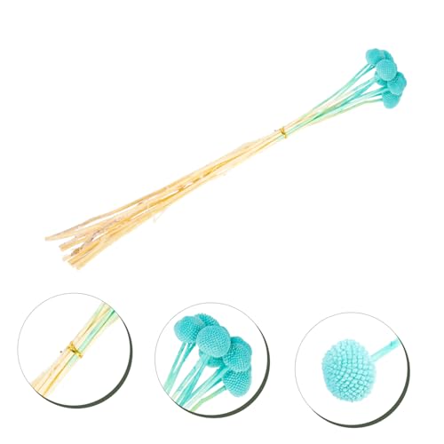 10 flores secas Craspedia azul decoración natural miniatura 7