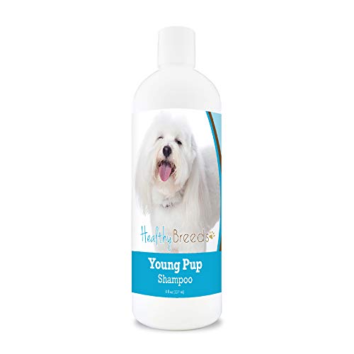 Healthy Breeds Coton de Tulear Young Pup Shampoo