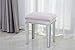 DIPAMKAR - L40.5cm Hocker Rosa Samt Hocker für Schminktis Schminktisch-Hocker mit gespiegelte Beine