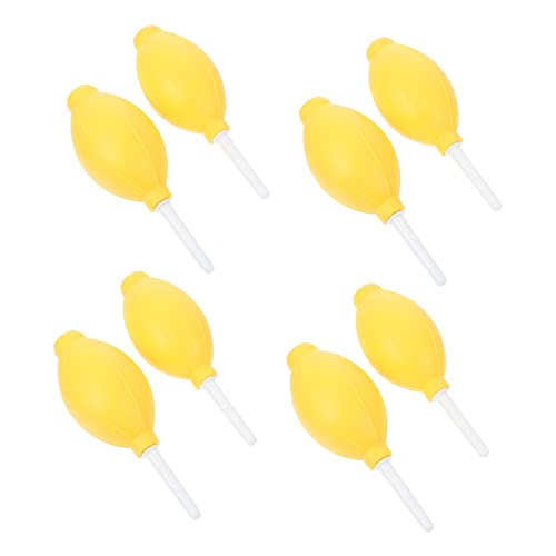 ELAYARD 8|p o |pGA|v JYZT[