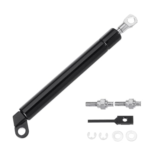 Support de levage de jambe de force pour éviter la chute du hayon D40