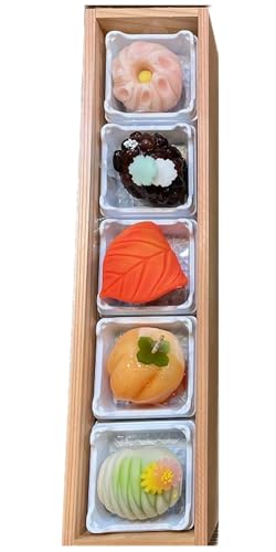 季節の上生菓子5種 [11218-0315]