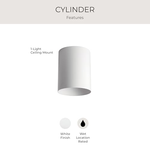 Image of Progress Lighting 5-Inch Cylinder Outdoor Ceiling Light, 1-Light Modern Flush Mount Ceiling Fixture, Interior and Exterior Lighting for Home or Porch, Aluminum Construction, White, P5774-30