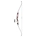 Cajun Bowfishing Fish Stick Bowfishing Bow Package with Drum Reel, Roller Rest, and Piranha Point Arrow, Right Hand, Red