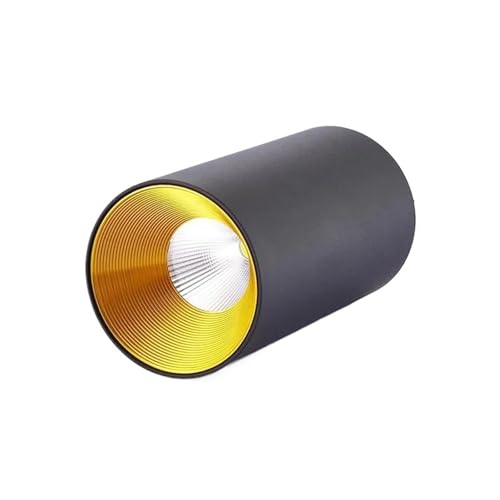 Spot lumineux LED cylindrique de plafond blanc et doré au fini raffiné