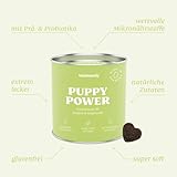 mammaly 13 in 1 Welpen Leckerlies für Hunde (650g) Puppy Power mit Präbiotika, Grünlippmuschel und Vitamin E - Gesundes Wachstum und Nervenfunktionen - Unterstützt Training