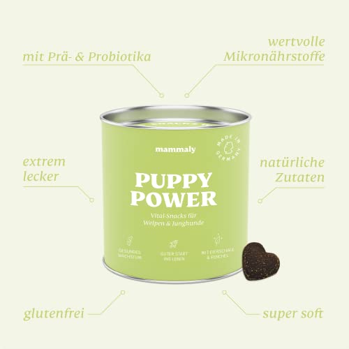 mammaly 13 in 1 Welpen Leckerlies für Hunde (650g) Puppy Power mit Präbiotika, Grünlippmuschel und Vitamin E - Gesundes Wachstum und Nervenfunktionen - Unterstützt Training