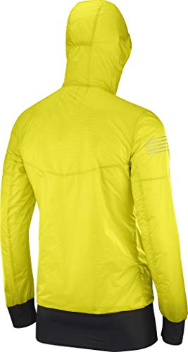 Image of Salomon FAST WING HYBRID Men