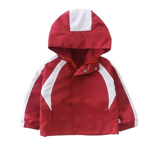 Boys' Hooded Jacket Color Blocking Windbreaker Outerwear Toddler Girls Fall Long Sleeve Hooded Coat