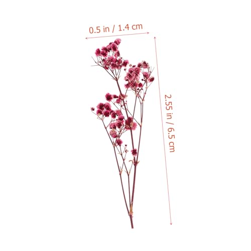 Kit de flores secas para decoración Alipis miniatura 4