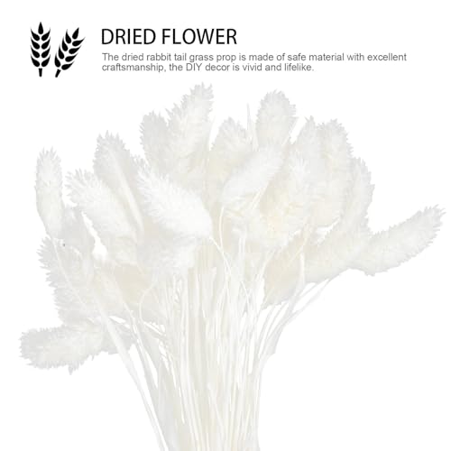 Ramo de Flores Secas Cola de Conejo Blanco 50 Tallos miniatura 3