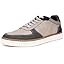 Grey-savar Grey-savar