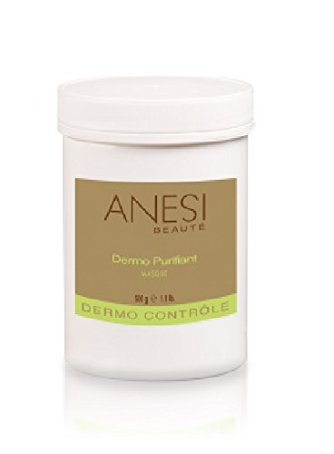 ANESI DERMO CONTROLE MASQUE DERMO PURIFIANT dermo-purifying respirator 500 g