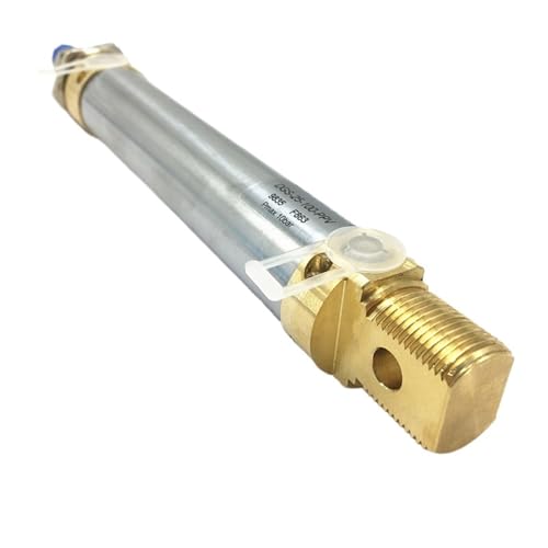 Mini vérin pneumatique DGS-20-80 avec piston de 20mm et double filetage