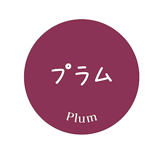 [ChC񂽂]  V[ 240 ی`30~ t[c A[g Ɩp ʕx (20_v)