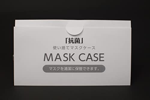 Rێĝă}XNP[X100  {