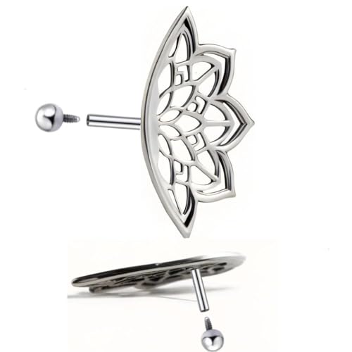 Spider Web Statement Cartilage Earring for Women Men Spider Ear Helix Piercing Unique Halloween Accessorys Jewelry4