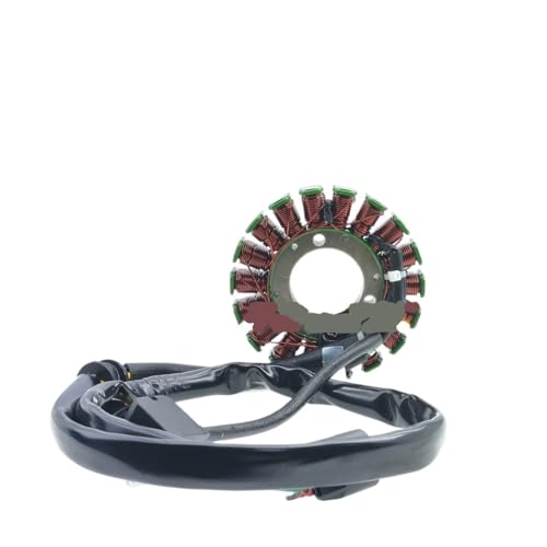 Bobine d'allumage et stator pour rénover le circuit électrique DRZ400E