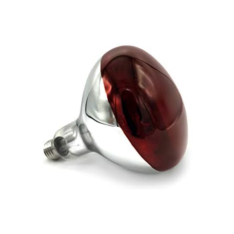 Titan Incubators 175 w Infra Red Bulb for Heat Lamps Cover