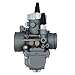 2 Stroke Engine Carburetor for Polaris Xplorer 250 2000 2001 2002 Trail Blazer 250 1990-2006 2 Stroke