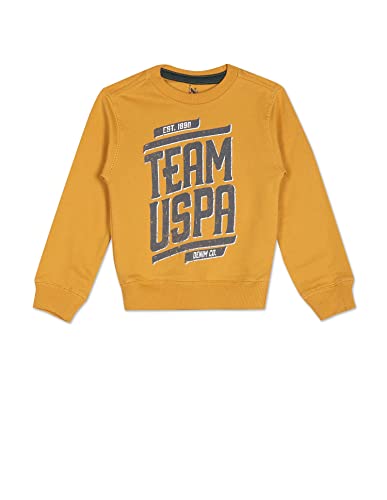 Image of U.S. Polo Assn. Boys Sweatshirt