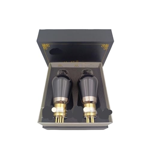 Tube Audio HiFi 2A3-T Assorti avec Précision pour Remplacer un Composant WE2A3 Défectueux