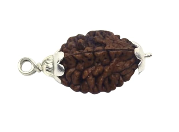 NEXG Natural 2 Mukhi Rudraksha Original Certified Nepali Do Mukhi Rudraksha with Silver Locket Kaju Dana Rudraksha Two Face Rudraksha Domukhi Rudraksh for Astrology Purpose 2 मुखी रुद्राक्ष ओरिजिनल (B0CNSSP4RZ) Amazon Price History, Amazon Price Tracker