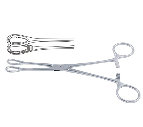 Reviti® by Hospiclub Sponge Holder Medical Forcep (6 Inch) (B0BDMWFCLH) Amazon Price History, Amazon Price Tracker