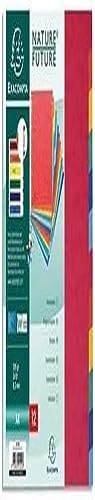 Exacompta 99H Divisori e Segnaletica, 21x29.7 cm, Multicolore