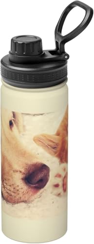 ˂ L }OJbv RrjJbv ^fM XeX{g X|[cΉ ۉ ۗ RȂ 530ml j̎q ̎q  l q v[g