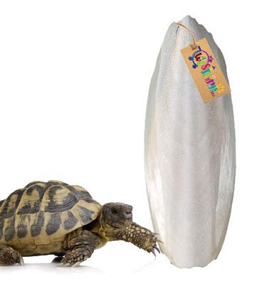 See full amazon price history chart for Western Era Natural Calcium Source Cuttlebone Fish for Turtle (300grm) Western Era Natural Calcium Source Cuttlebone Fish for Turtle (300grm) (B08C7BVH88) Amazon Price History, Amazon Price Tracker