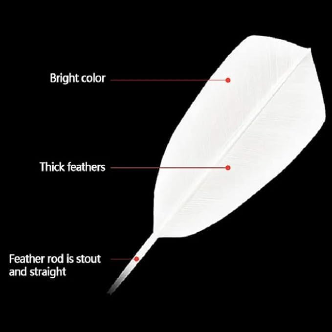 Image of Redant Gold Series Feather Shuttlecock (Pack of 20 DA)