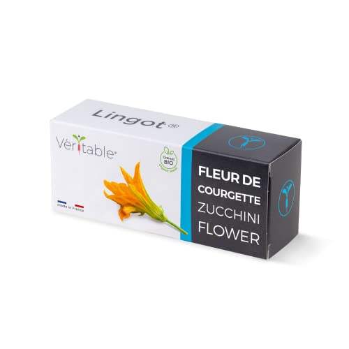 Véritable Lingot® Flores de calabacín Bio - Compatible con Huerto di Interior Exky® - Recarga Lista para Usar - Sustrato con Semillas integradas